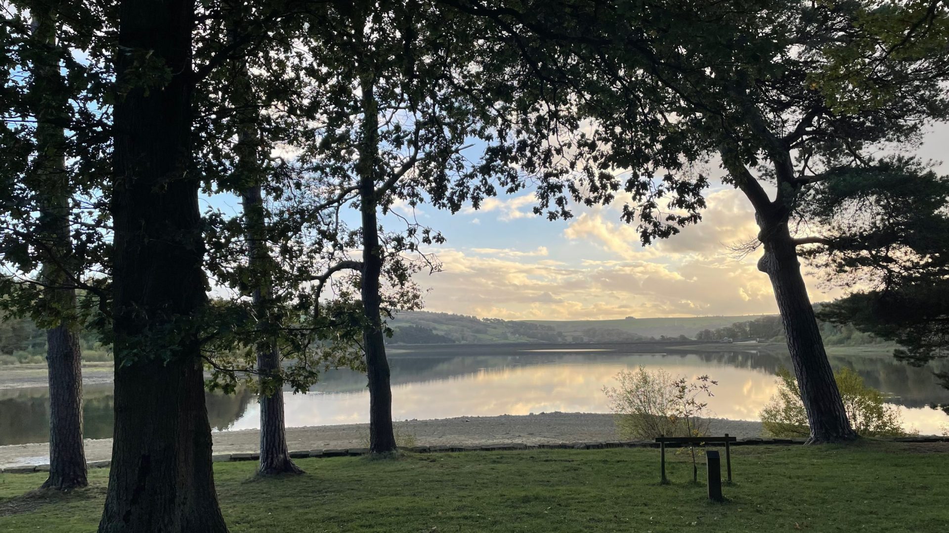 Nicki Puddy Counselling